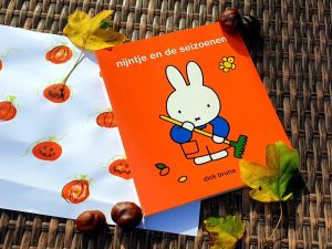 Nijntje en de seizoenen