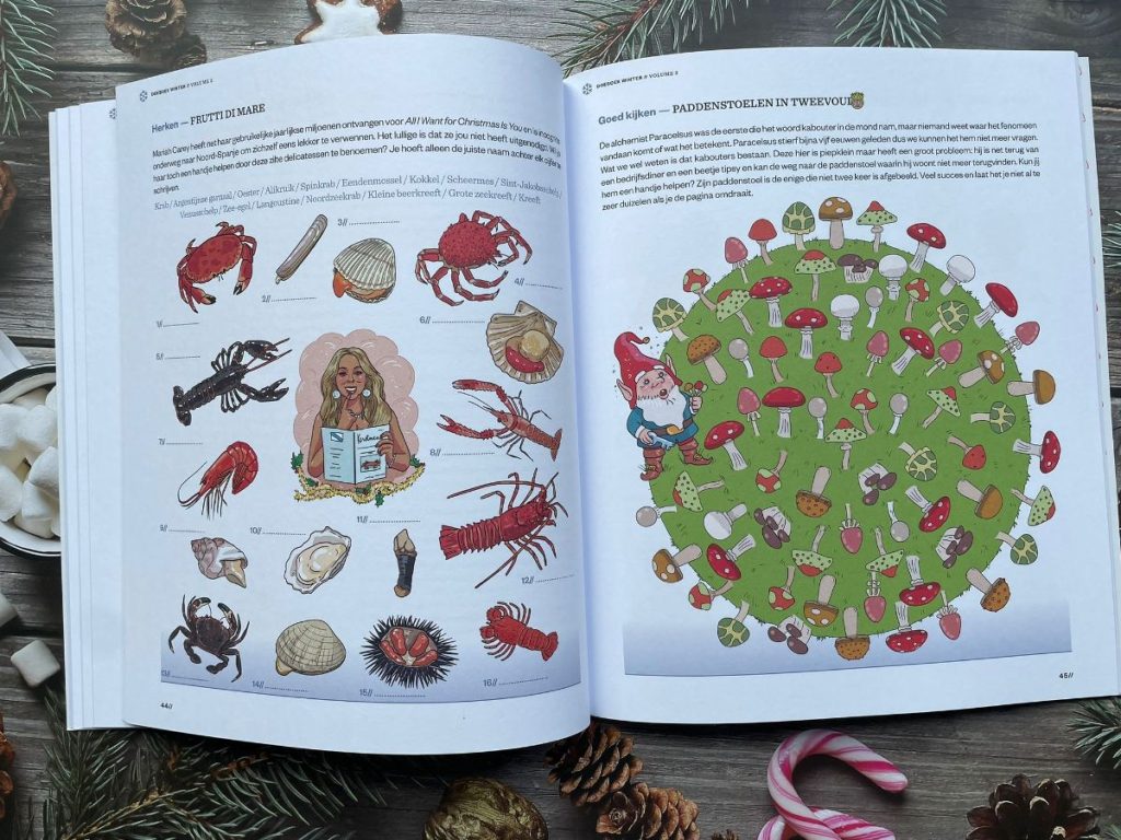 Doeboek voor volwassenen wintereditie vol 2