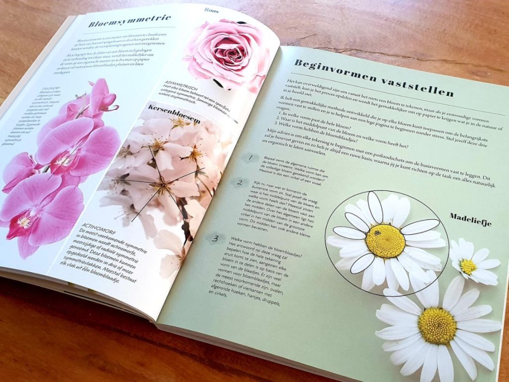 Stap voor stap bloemen tekenen