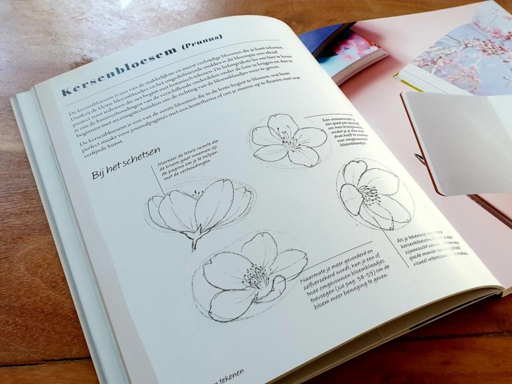 Stap voor stap bloemen tekenen