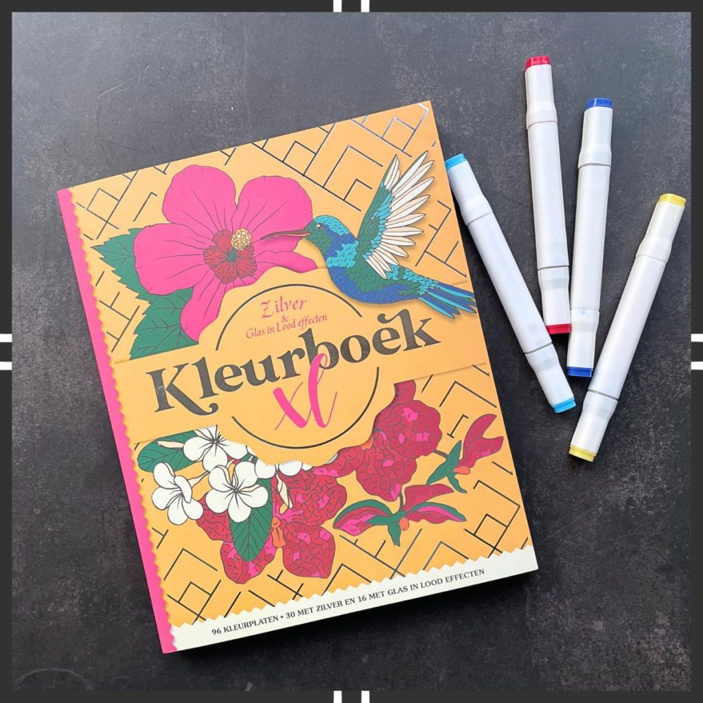 Zilver & glas in lood effecten kleurboek XL