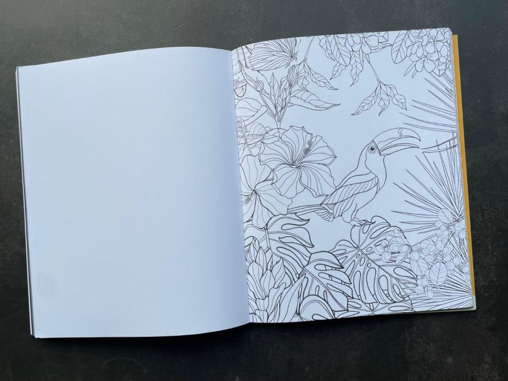 Zilver & glas in lood effecten kleurboek XL