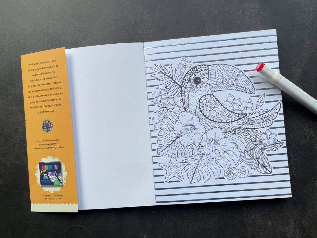 Zilver & glas in lood effecten kleurboek XL
