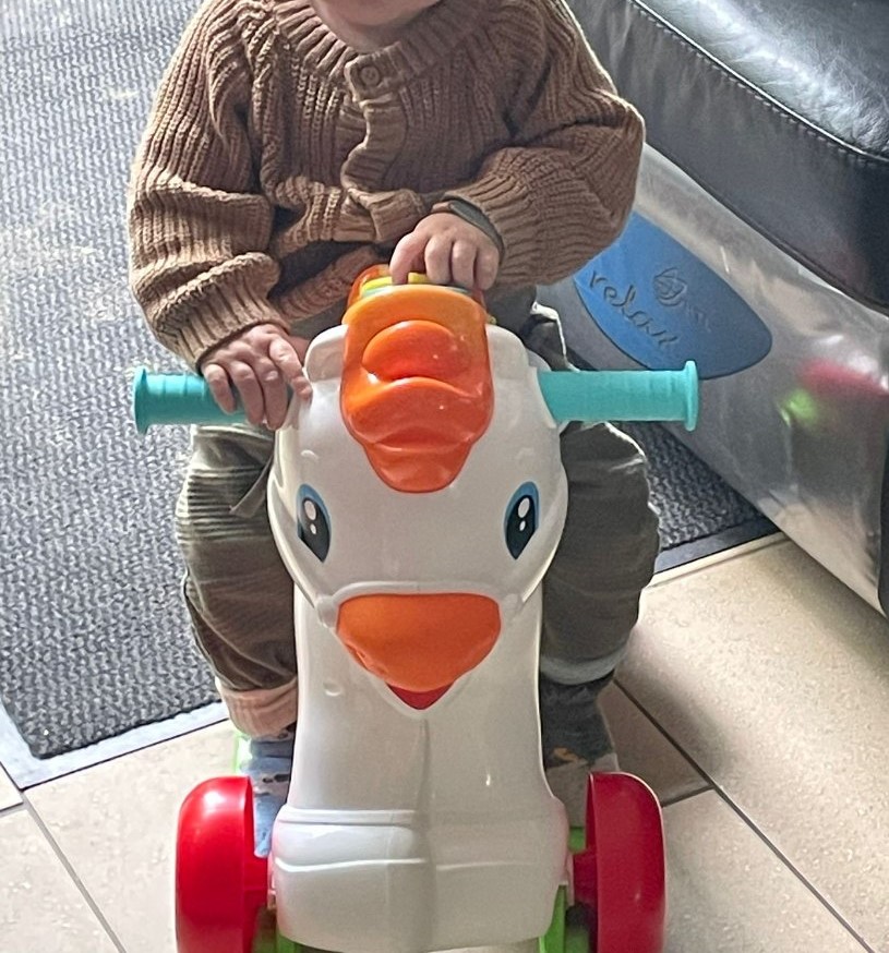 Rocky hobbelpaard loopwagen