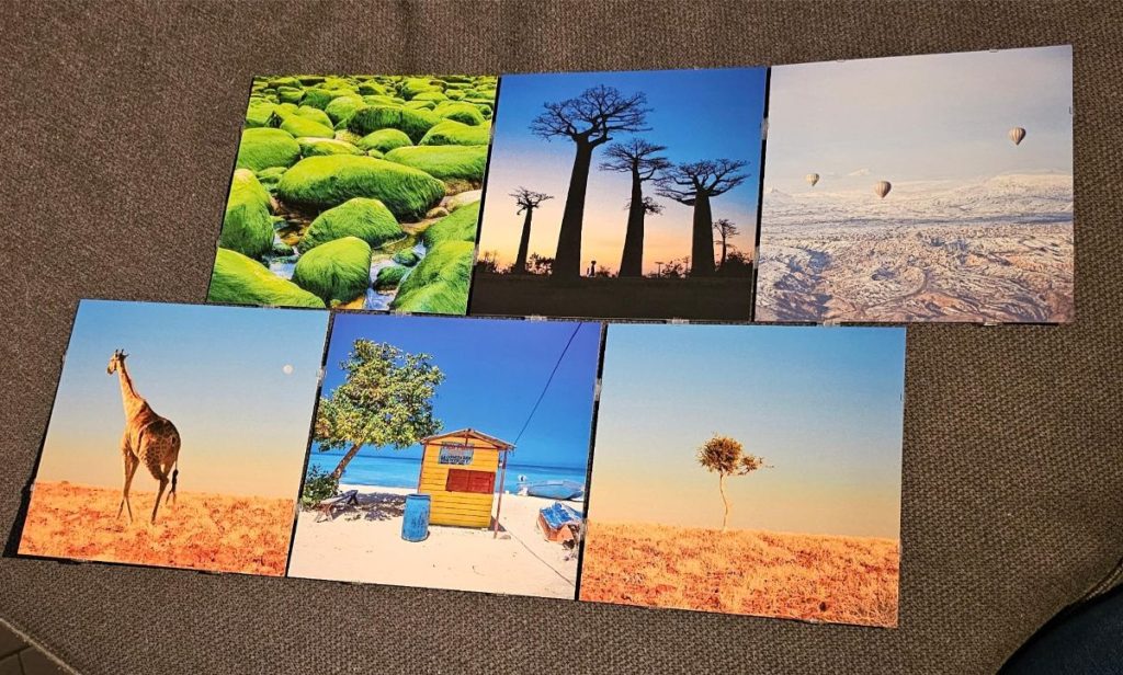 voorbeeld foto's