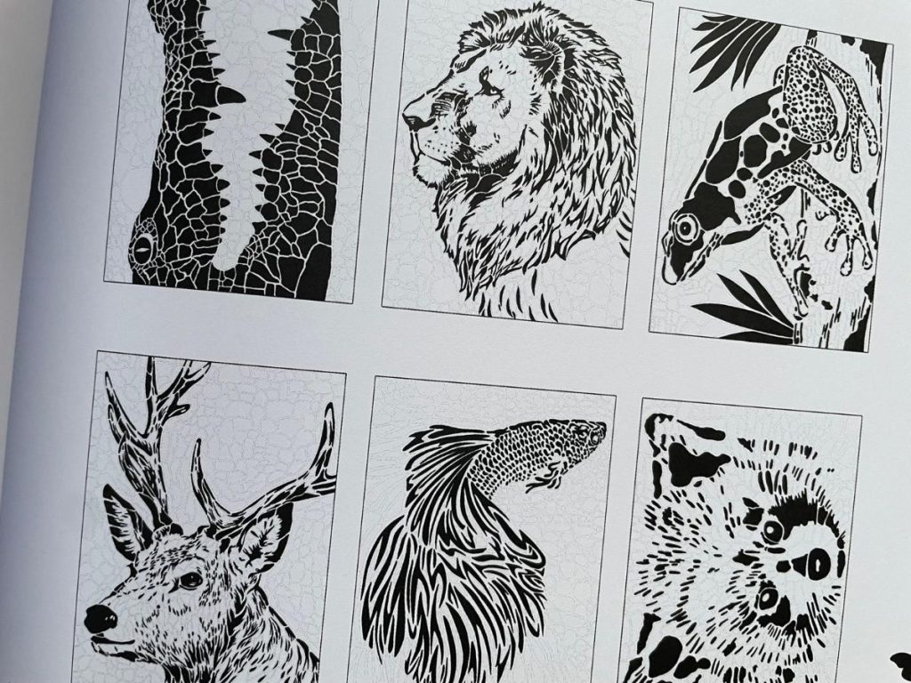 kleur & onthul wilde dieren