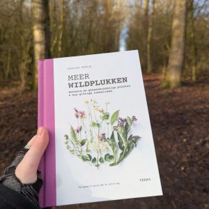 Meer wildplukken - Is het giftig of gezond (1)