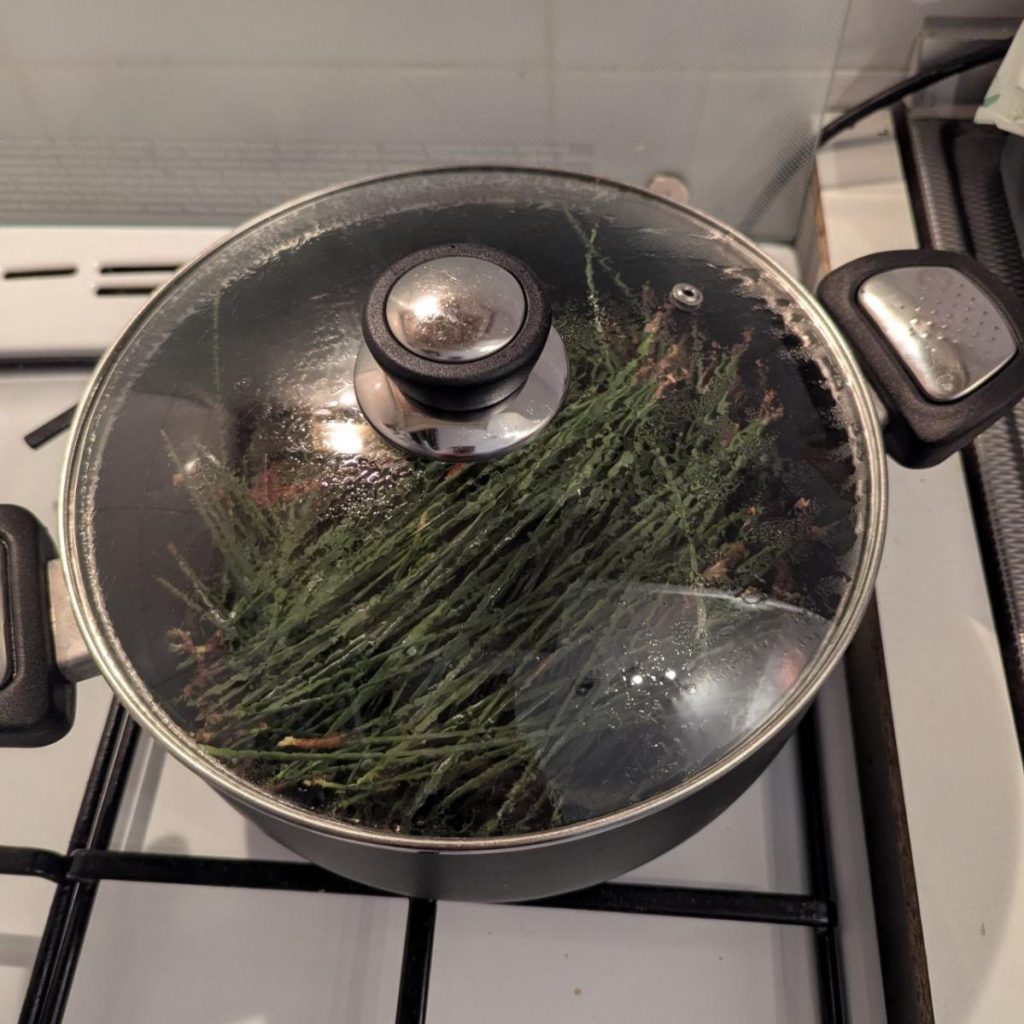 takken koken van de spar