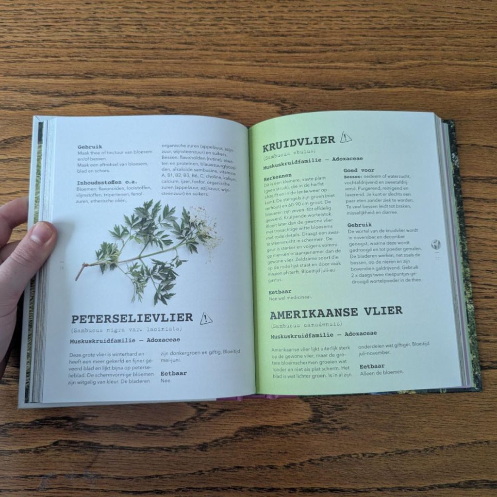 vlier - opmaak meer wildplukken