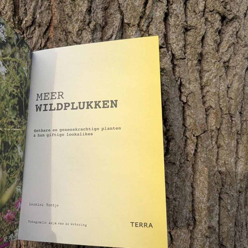 titelpagina meer wildplukken