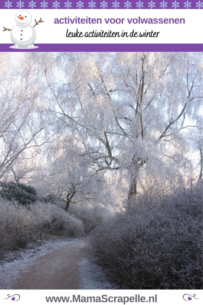 winter activiteiten voor volwassenen