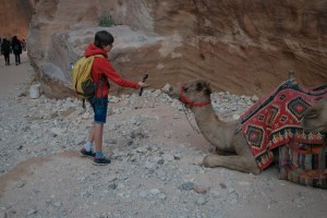 voordelen groepsreis egypte
