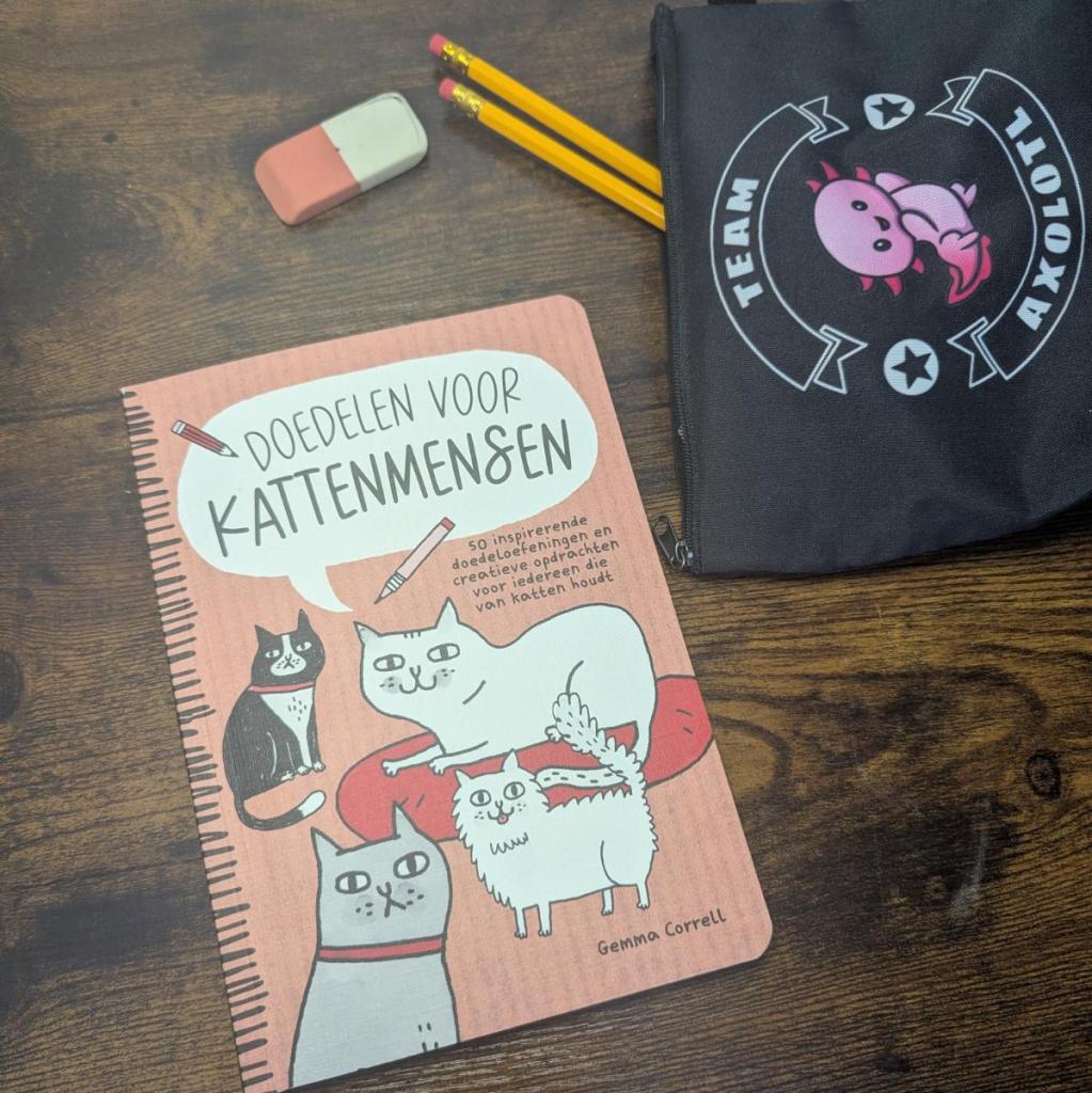 Doedelen voor kattenmensen - Een boekje vol leuke opdrachten
