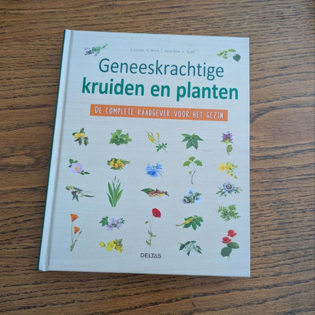 Geneeskrachtige kruiden en planten - Een perfecte gids 