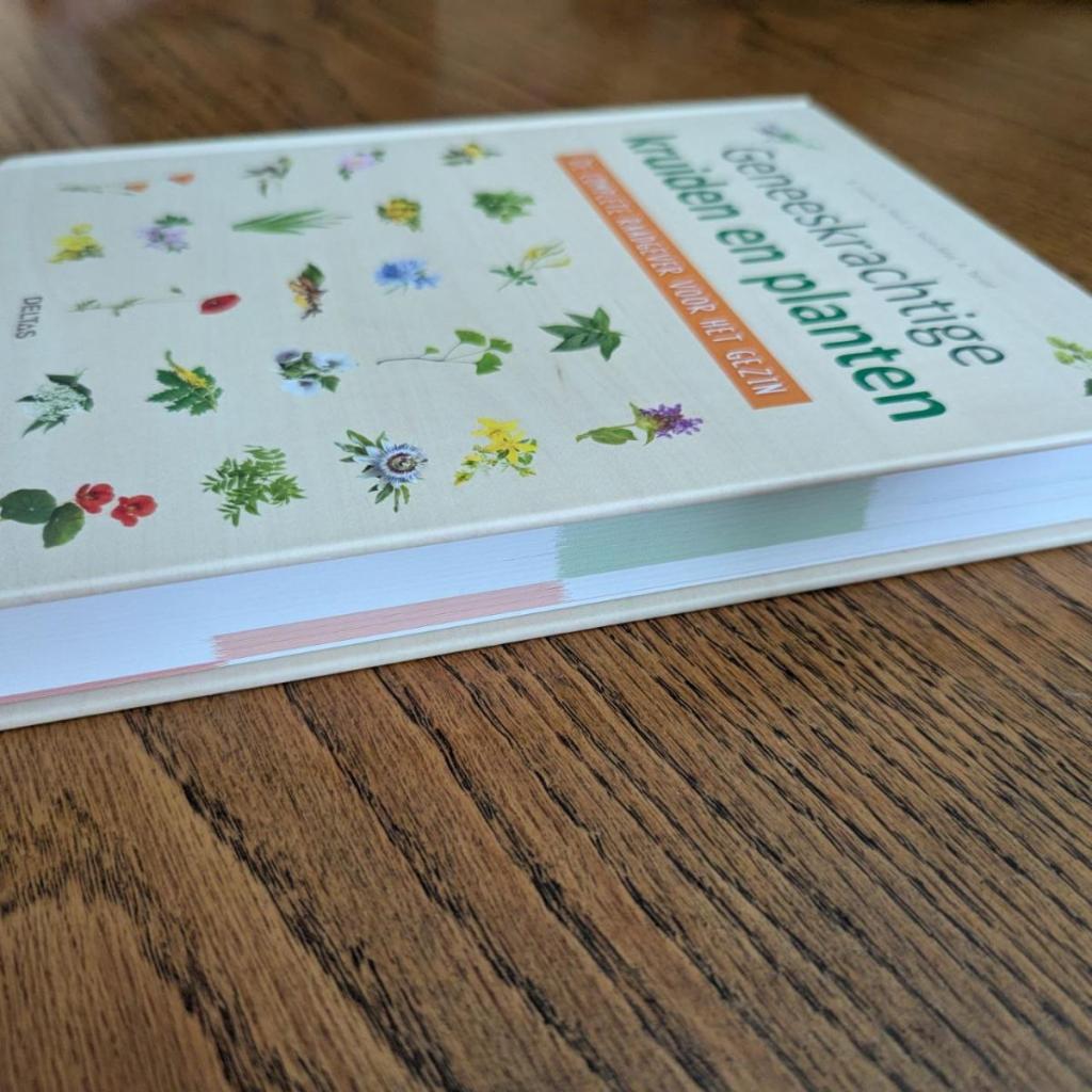 Geneeskrachtige kruiden en planten zijaanzicht 