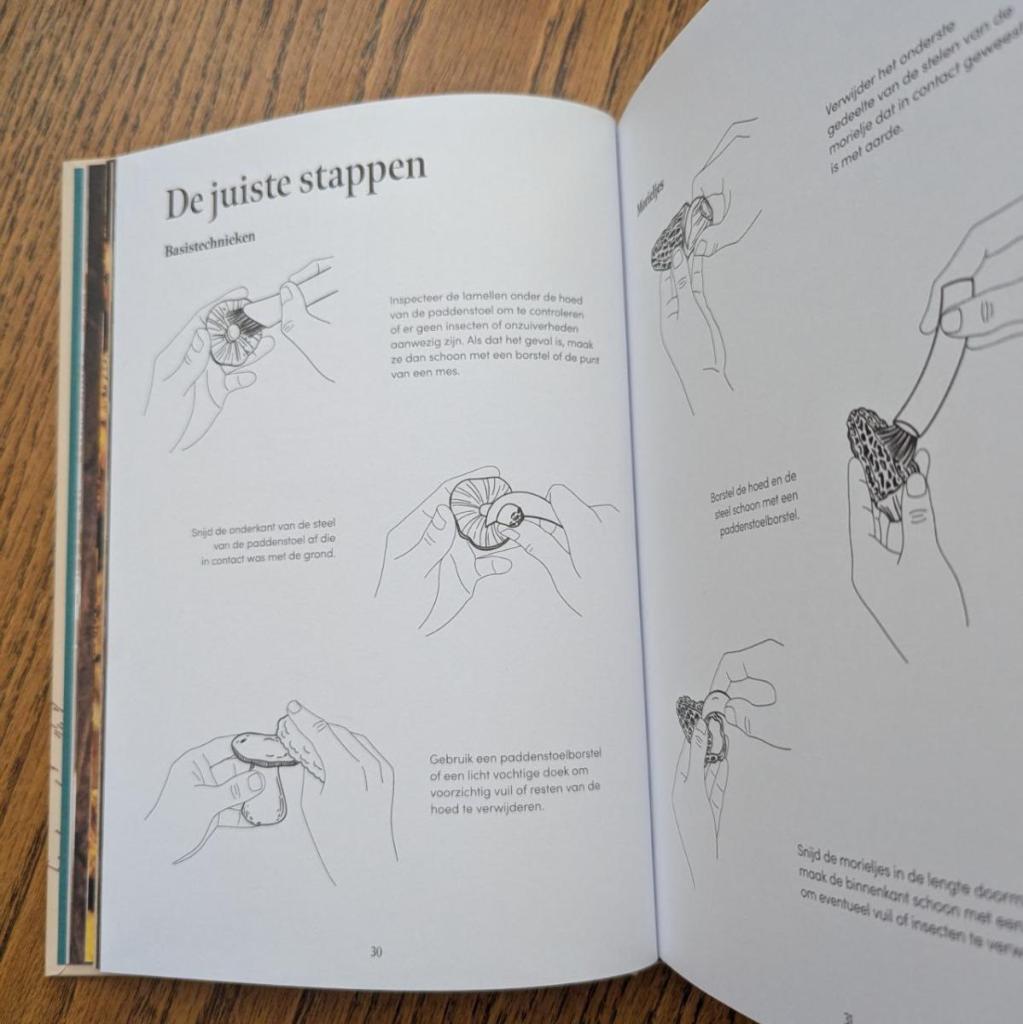 de juiste stappen