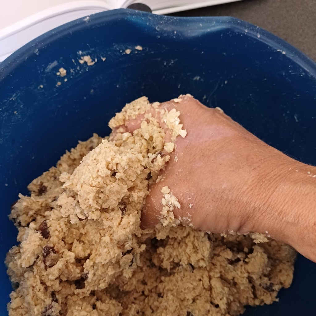 havermoutkoekjes
