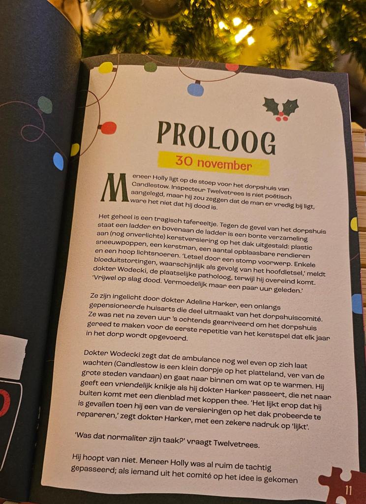verhalend puzzelboek mr brein
