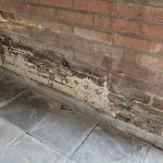 schimmel en vocht probleem in schuur (2)