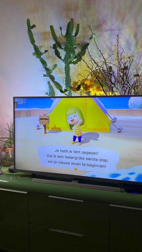 Animal Crossings New Horizons