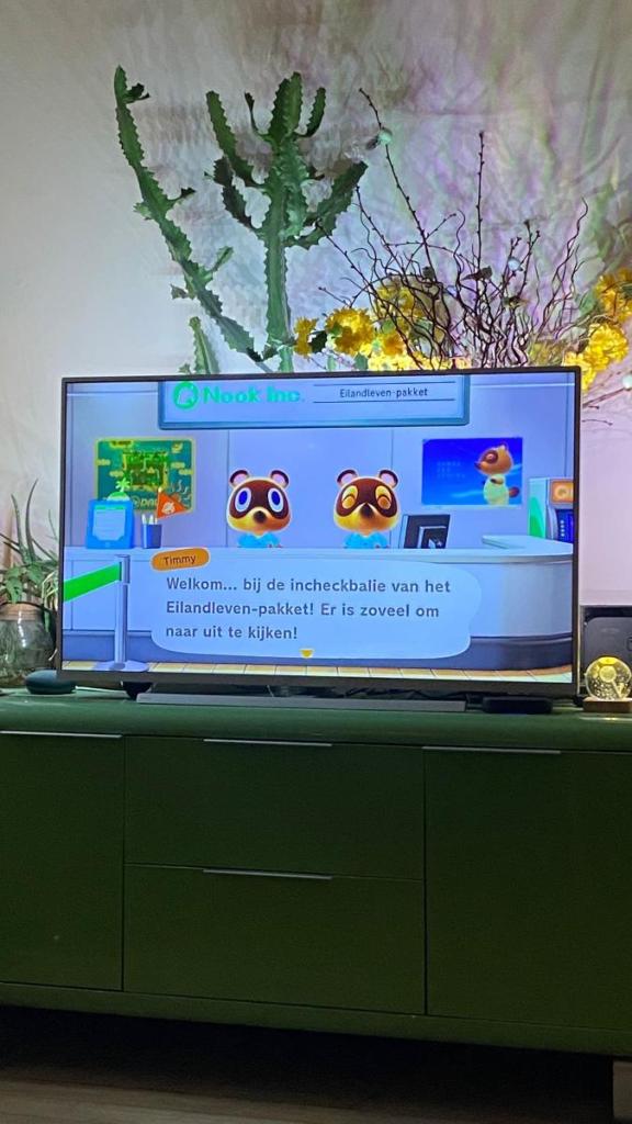Animal Crossings New Horizons