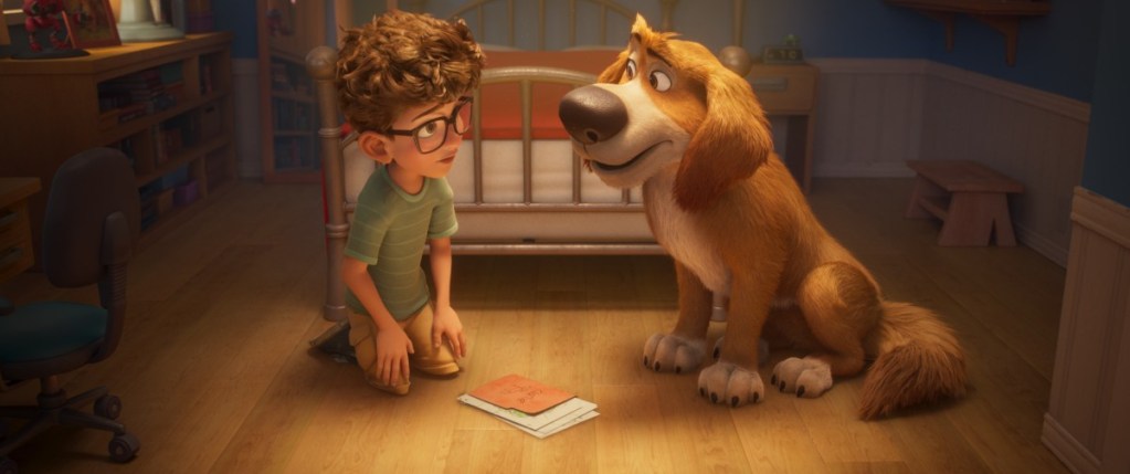 charlie de wonderdog