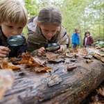 kinderen groepsactiviteiten