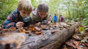 kinderen groepsactiviteiten