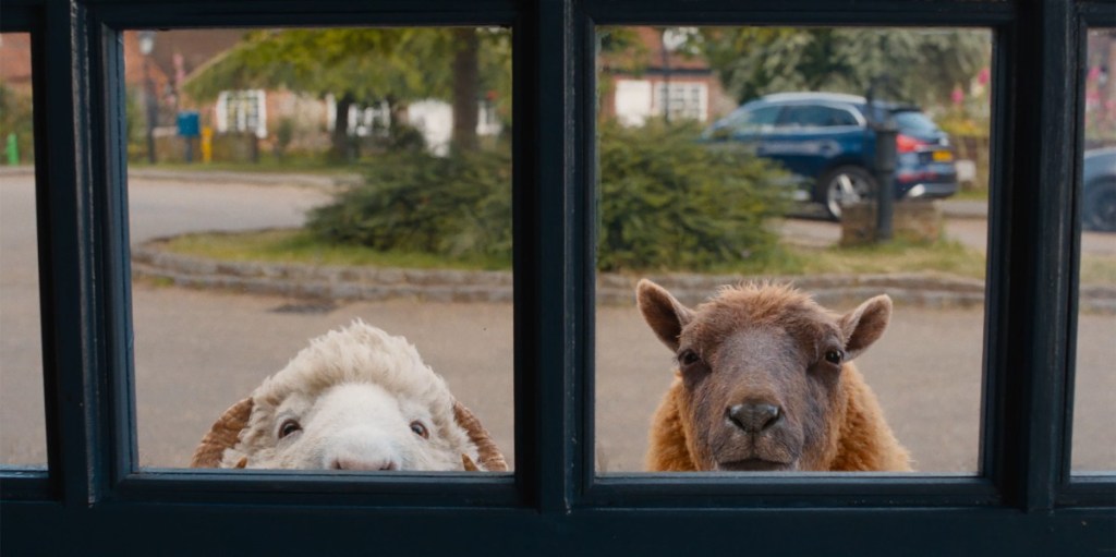 de schapenspeurders
