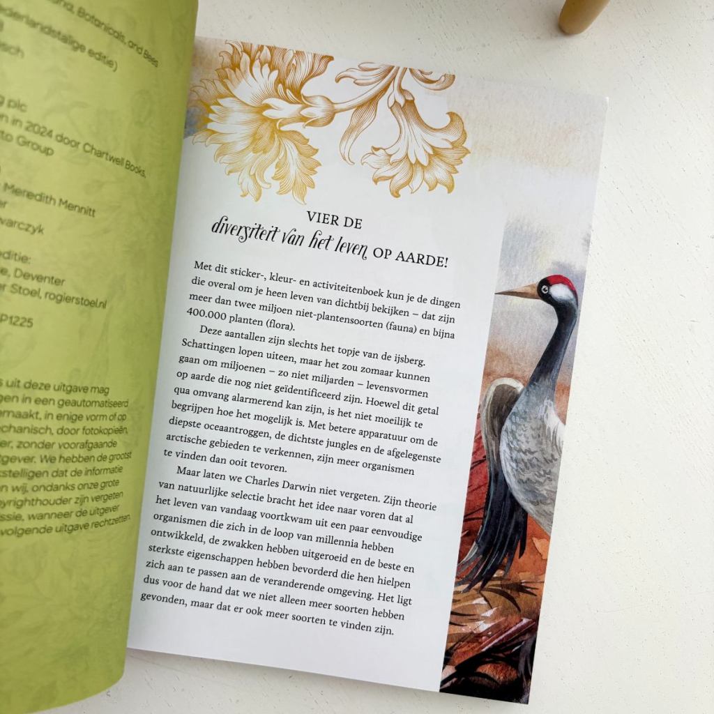 Sticker-, kleur- en activiteitenboek van Librero