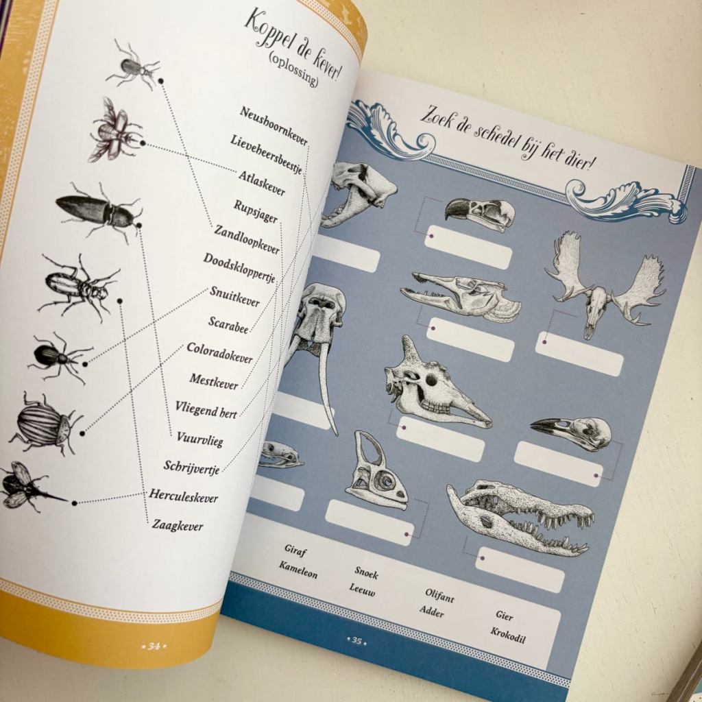 Sticker-, kleur- en activiteitenboek van Librero