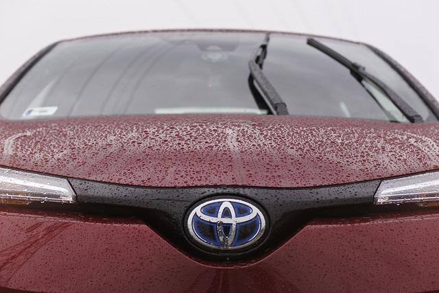 autorijden plug in hybride toyota