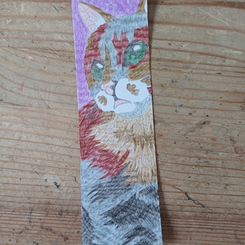 kleuren op nummer boekenleggers