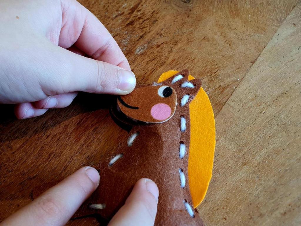 Ik leer naaien: vilten dieren