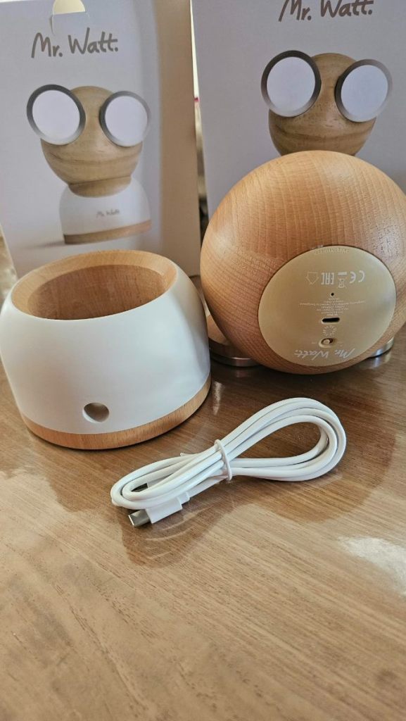 Mr. Watt designlamp van hout (11)
