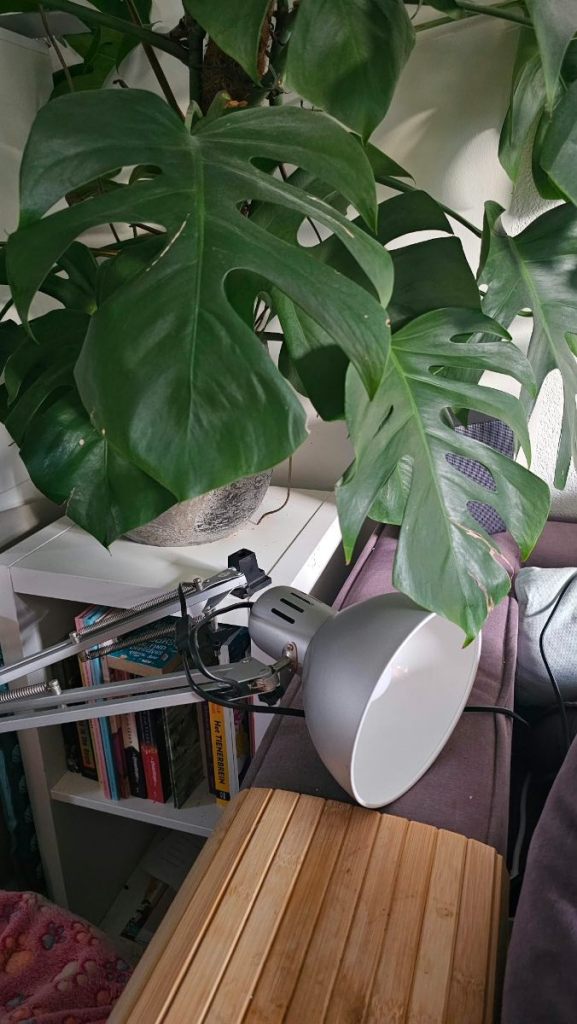 oude lamp