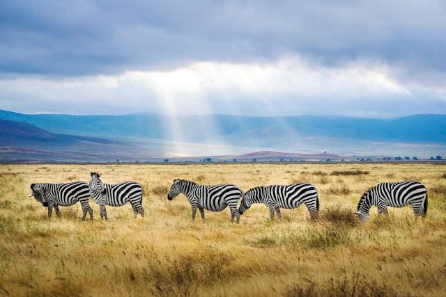 verre rondreis tanzania